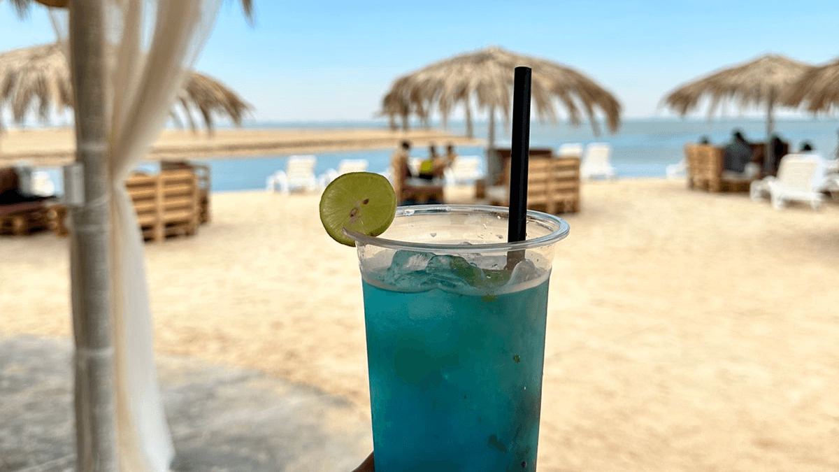 mini-img-63a2fb4e3d501ada1d5c018d/PHOTO-2023-05-19-16-25-19-2 (1).png