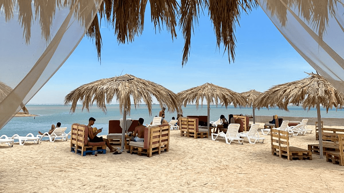 mini-img-63a2fb4e3d501ada1d5c018d/PHOTO-2023-05-19-16-25-19-4 (1).png